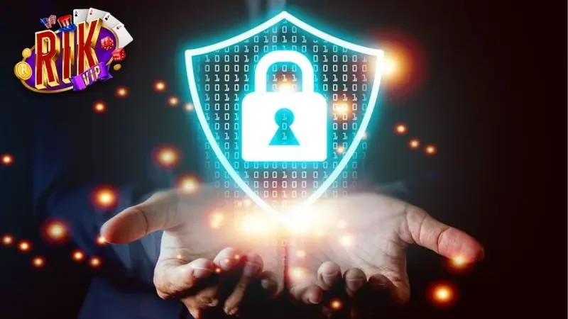 Điều khoản liên quan đến việc thu thập thông tin tại nhà cái